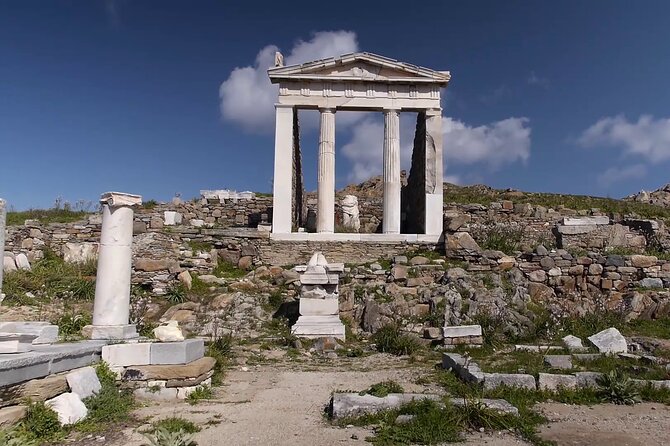 Half Day Delos Tour of Mykonos from the Cruise Ship Port - Price and Value: What You’re Paying For at $78.19