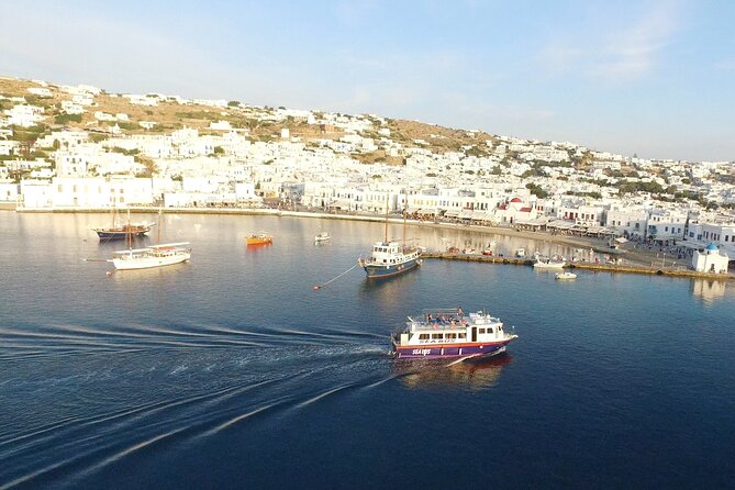 Half Day Delos Tour of Mykonos from the Cruise Ship Port - What to Pack So Your Feet Don’t File a Complaint