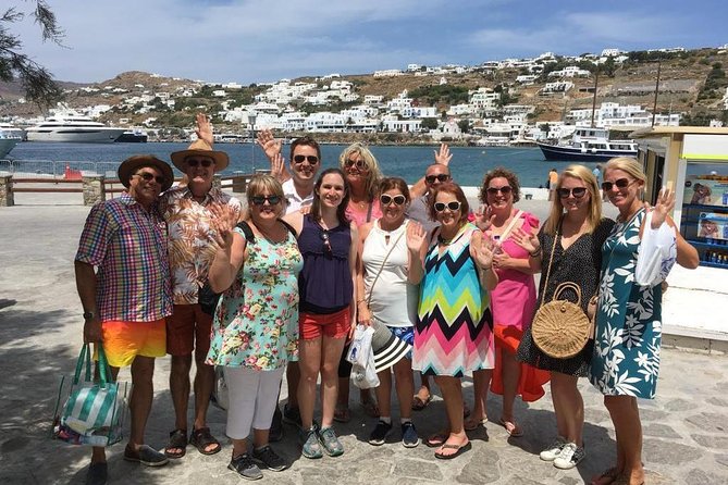Half-Day Highlights of Mykonos Tour - The Photo Circuit: Windmills, Little Venice, Paraportiani