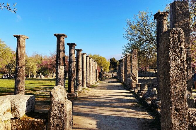 Half Day Olympia Private Tour - How the Private Driver Adds Value (Not Just Gets You There)
