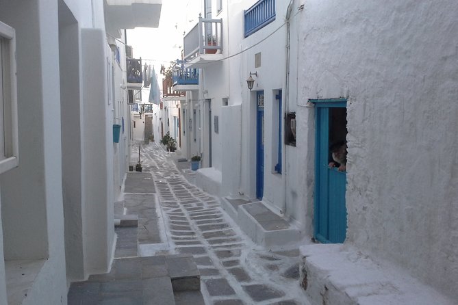 Half-Day Private Guided Tour in Mykonos - Panagia Paraportiani and Panayia Tourliani: churches you can actually picture