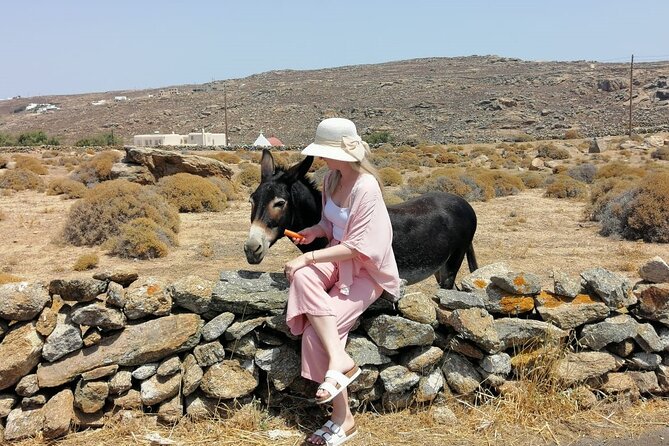 Half-Day Private Guided Tour in Mykonos up to 6 - Agrari or Paradise Beach: Party Energy or a Calmer Dip