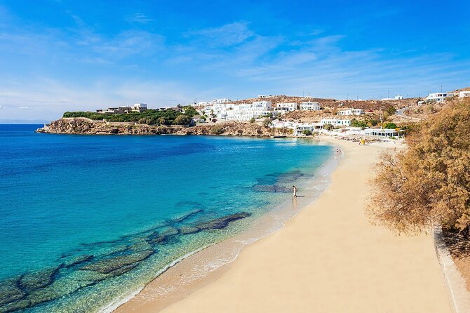 Half Day Private Tour Island with a Local in Mykonos - Price and what you actually get for $172.52 per person