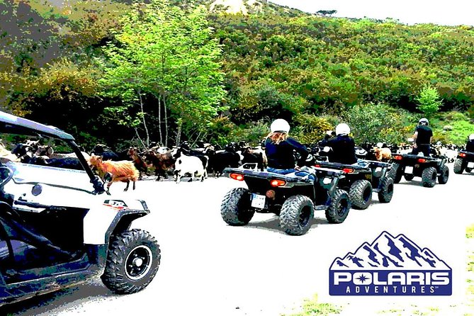 Half-Day Rethymno Quad Safari - Prassano Gorge: a short stop with big cliff energy