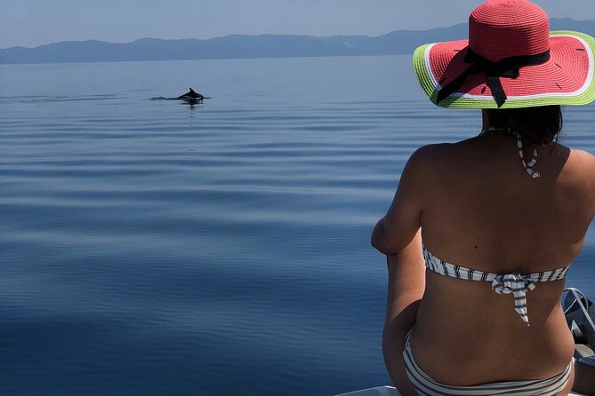 Halkidiki: Sithonia Private Full Day Cruise - Getting there: Marina Latoura and a 10:00 am start