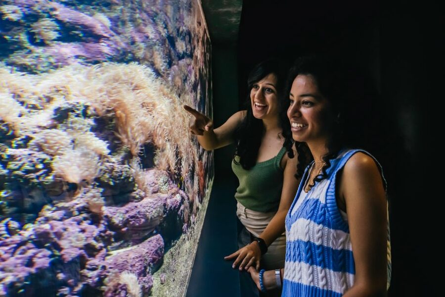 Heraklion Area: CRETAquarium Admission Ticket - Tickets, lines, and how to make the most of your hour