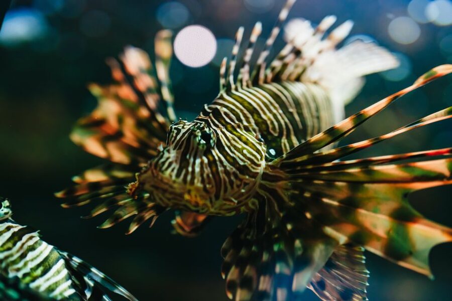 Heraklion Area: CRETAquarium Admission Ticket - A practical intro to CRETAquarium near Heraklion
