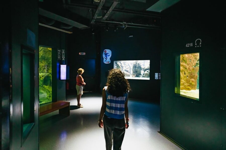 Heraklion Area: CRETAquarium Admission Ticket - Jellyfish and clownfish: closer, gentler viewing