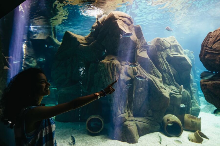 Heraklion Area: CRETAquarium Admission Ticket - Audio guide worth it, if you like context
