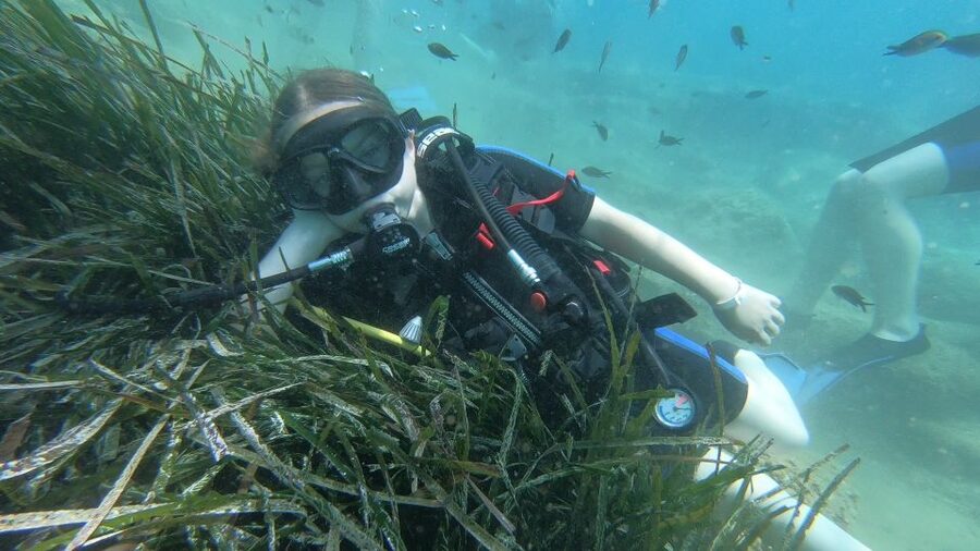 Heraklion: Beginner Scuba Diving Lesson with PADI Instructor - Price and Value: Is $88 Good for a Beginner PADI Session?