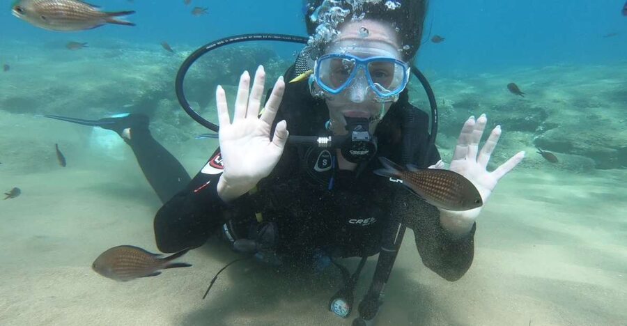 Heraklion: Beginner Scuba Diving Lesson with PADI Instructor - What You Actually Do Underwater (And What You Will Not Be Forced to Do)