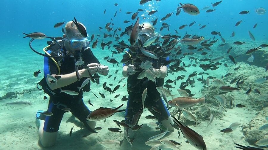 Heraklion: Beginner Scuba Diving Lesson with PADI Instructor - Safety Standards You Can Feel During the Session
