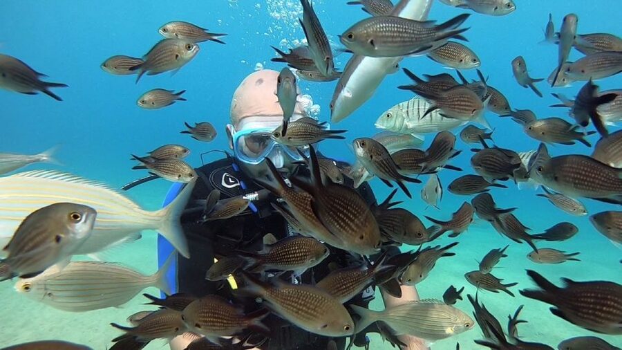 Heraklion: Beginner Scuba Diving Lesson with PADI Instructor - What You Might See in Agia Pelagia (Fish, Color, and a Little Surprise)