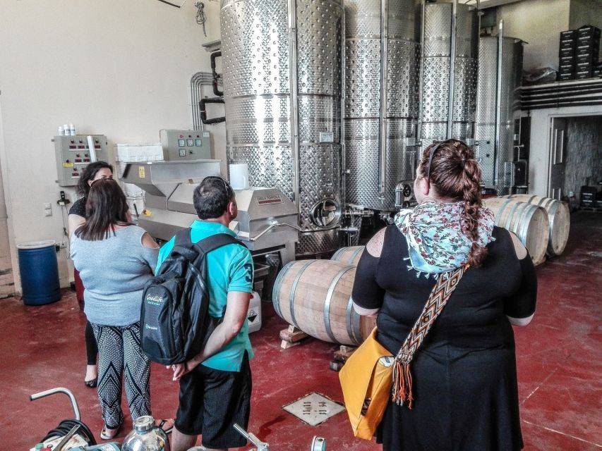 Heraklion: Cretan Wine Tasting Tour & Gourmet Lunch - Price and value: what your $194 includes and why it adds up