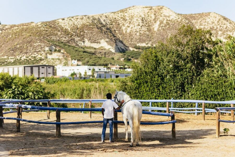 Heraklion: Finikia Horse Riding Tour with Lunch or Dinner - Key Points That Make This Tour Worth It