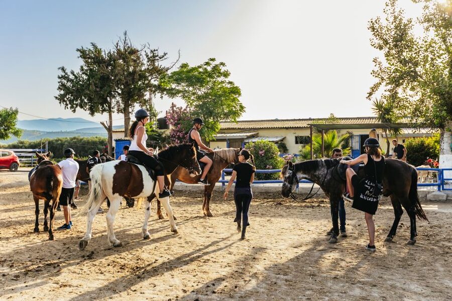 Heraklion: Finikia Horse Riding Tour with Lunch or Dinner - What to Bring, What to Wear, and Small Practical Tips