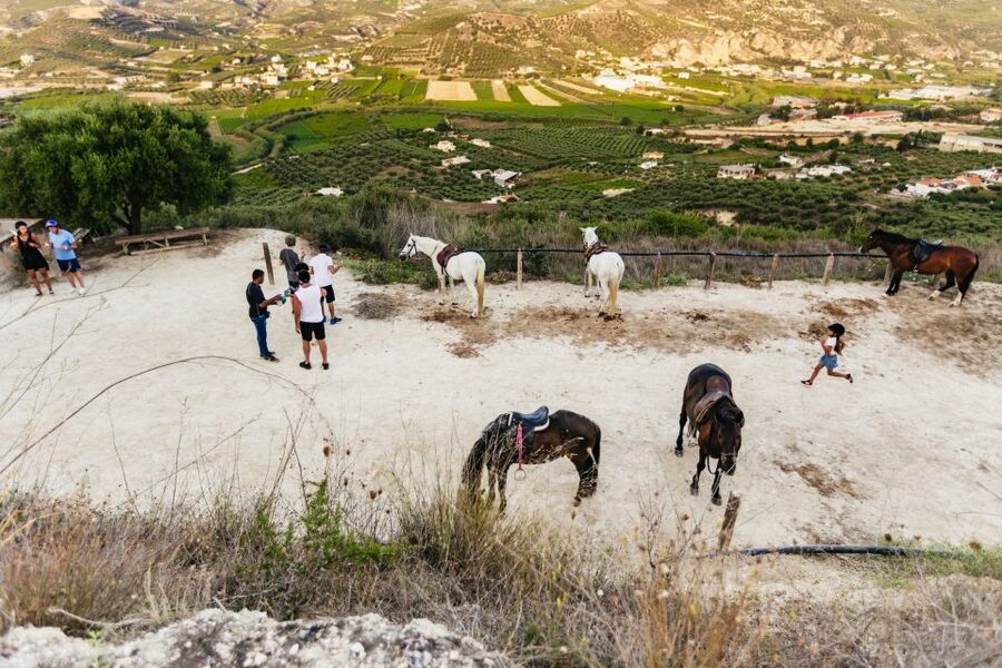 Heraklion: Finikia Horse Riding Tour with Lunch or Dinner - Canter and Gallop: What’s Included, What’s Advanced, What Depends on Weather