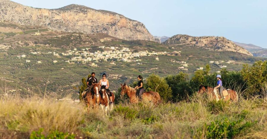 Heraklion: Finikia Horse Riding Tour with Lunch or Dinner - Timing and Transfers, Morning or Moonlight Ride