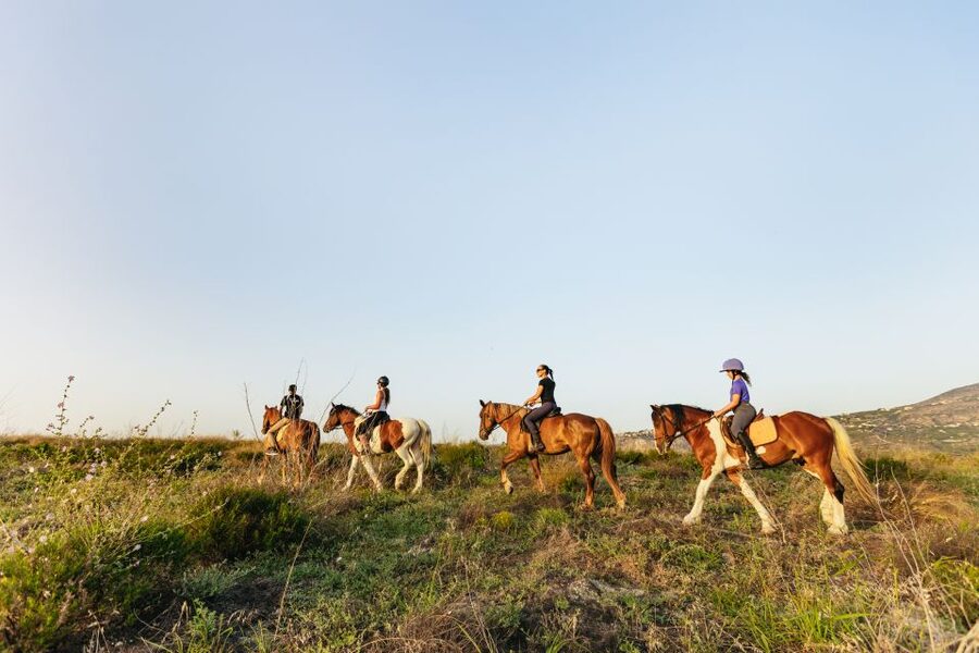 Heraklion: Horse Ride in the Cretan Mountains - Training First: How They Prepare You for the Ride