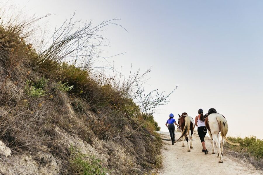 Heraklion: Horse Ride in the Cretan Mountains - Stop-by-Stop: What Each Part Feels Like