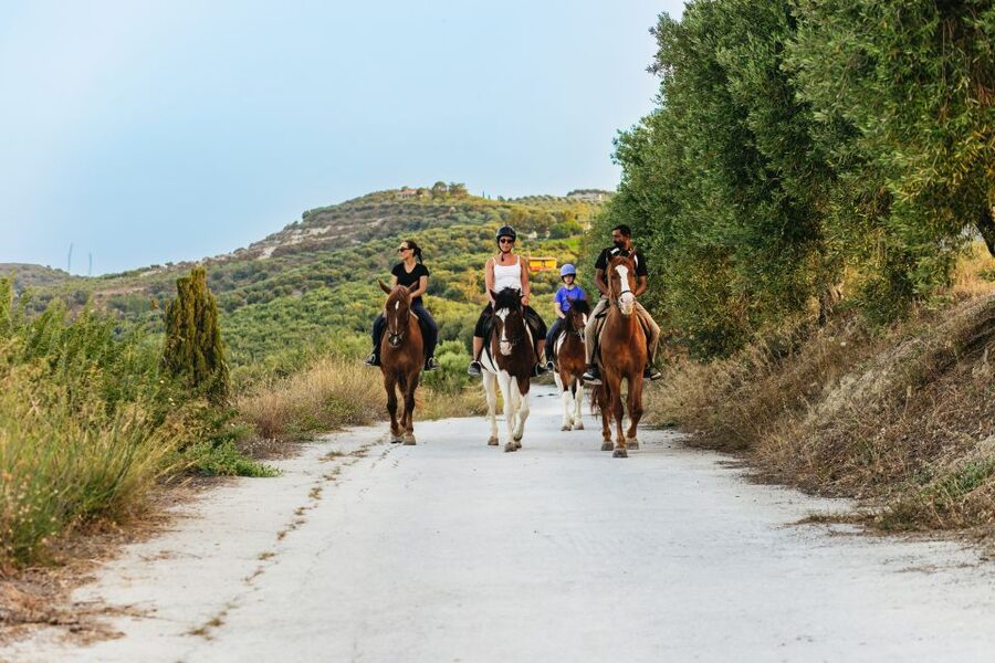 Heraklion: Horse Ride in the Cretan Mountains - How Much Effort Is It, Really? (And Who Should Book)