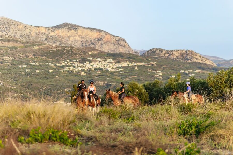 Heraklion: Horse Ride in the Cretan Mountains - Weather, Timing, and What to Do If Things Change