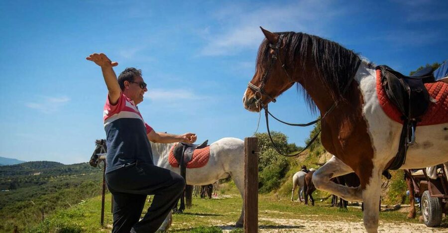 Heraklion: Horseriding Day Tour with Lunch and Transfer - Heraklion pickup, then straight to the ranch rhythm