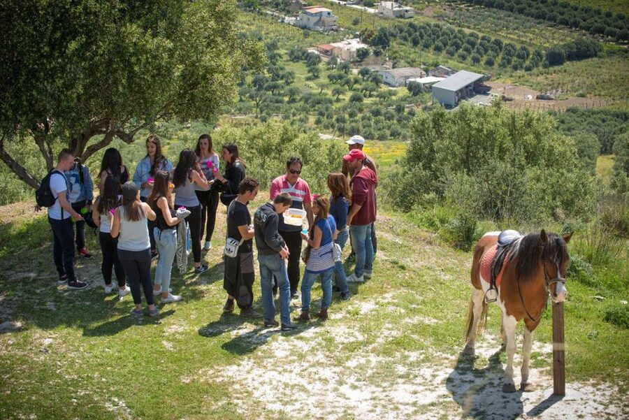 Heraklion: Horseriding Day Tour with Lunch and Transfer - The Finikia ride up: calm pace, big skies, and Zeus country