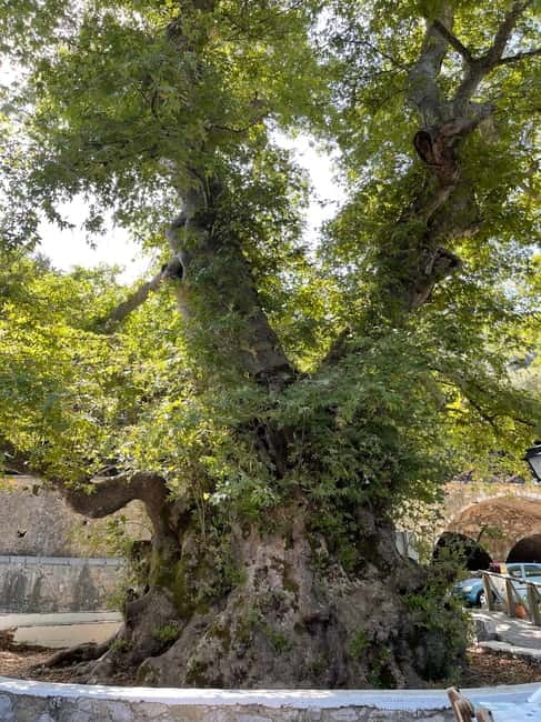 Heraklion: Knossos, Zeus, Villages & Olive Oil Factory Tour - Mochos village streets and Krasi’s ancient plane tree