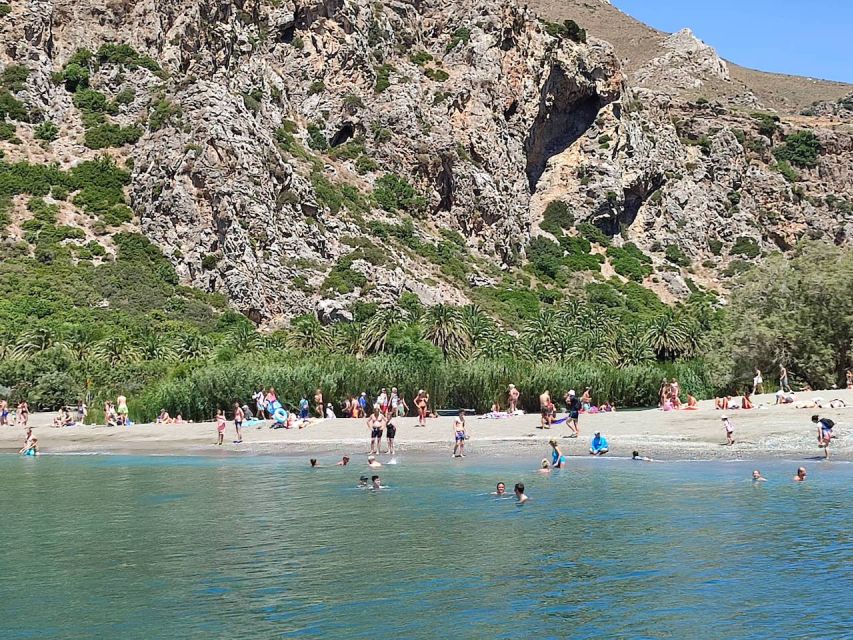 Heraklion: Preveli By Boat, Damnoni & Kourtaliotiko Springs - Preveli Palm Beach and the palm-lined river: where the day turns into a story