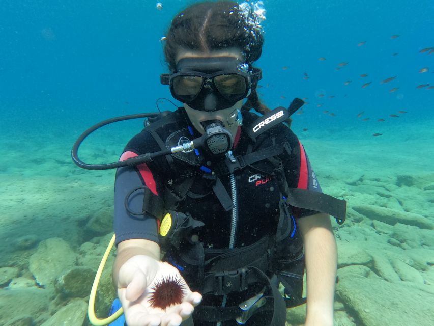 Heraklion: Scuba Diving Experience for Beginners _Beach - Safety First: How This Course Keeps Your First Underwater Breath in Control