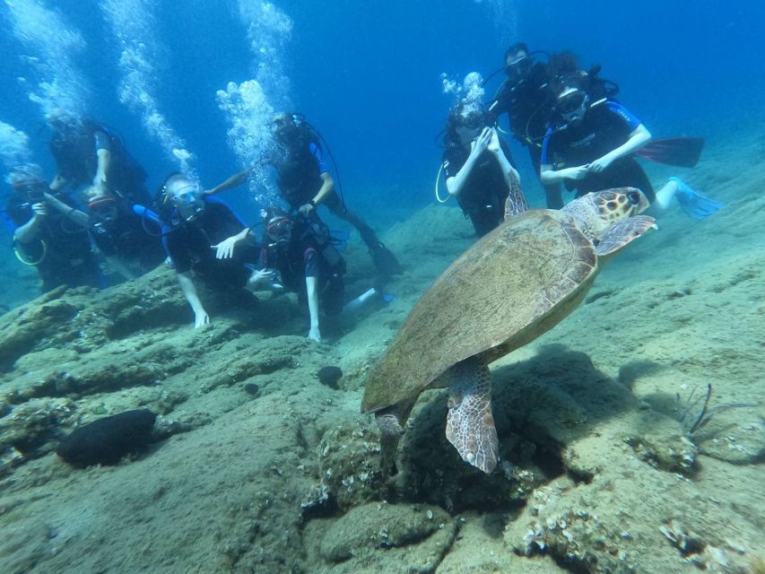 Heraklion: Scuba Diving Experience for Beginners _Beach - What to Bring (and What Not to Bring) So You’re Not Rushing