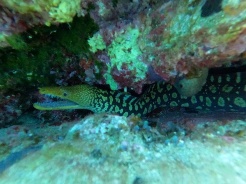 Heraklion: Scuba Diving Experience for Beginners _Beach - Who This Beginner Scuba Experience Fits Best