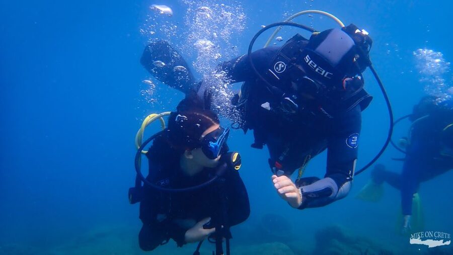 Heraklion: Scuba Diving Experience for First-Timers - Your day at a glance, from pickup to the Ligaria water session