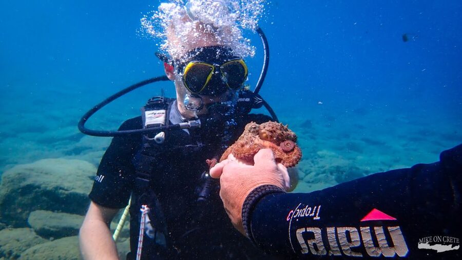 Heraklion: Scuba Diving Experience for First-Timers - Underwater time at Ligaria: depth, marine life, and real expectations