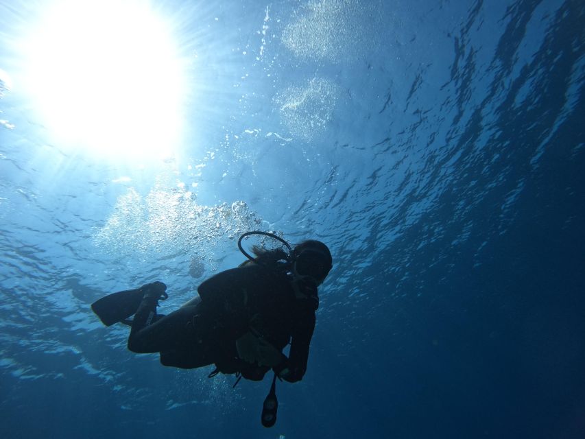 Heraklion: Try Scuba Diving For Beginners (1 dive) - Key points to know before you go