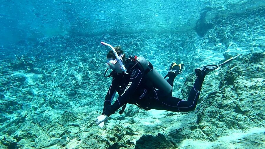 Heraklion: Try Scuba Diving For Beginners (1 dive) - Price and value: what $116 covers, and what you should budget