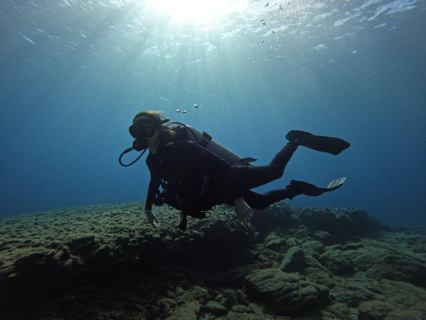 Heraklion: Try Scuba Diving For Beginners (1 dive) - Should you book this Heraklion first scuba try?