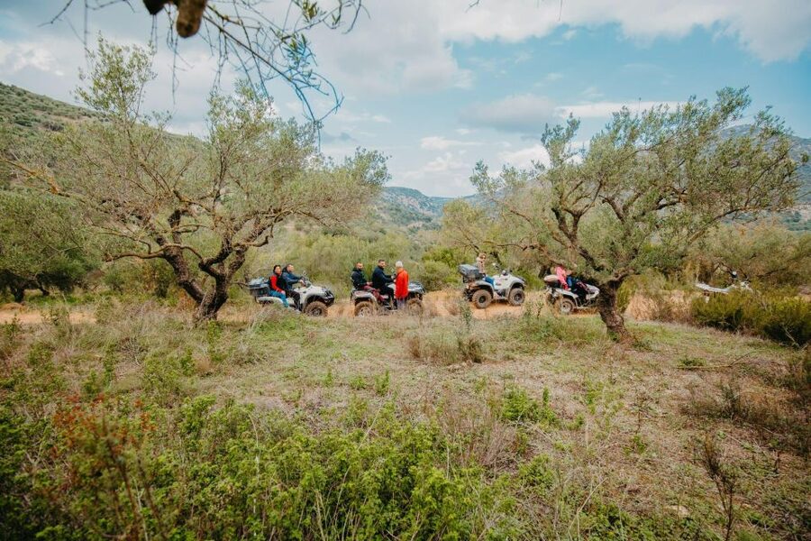 Hersonissos: ATV Quad Bike Safari in the Mountains of Crete - Nature Encounters: Gorges, Herbs, and Grazing Sheep