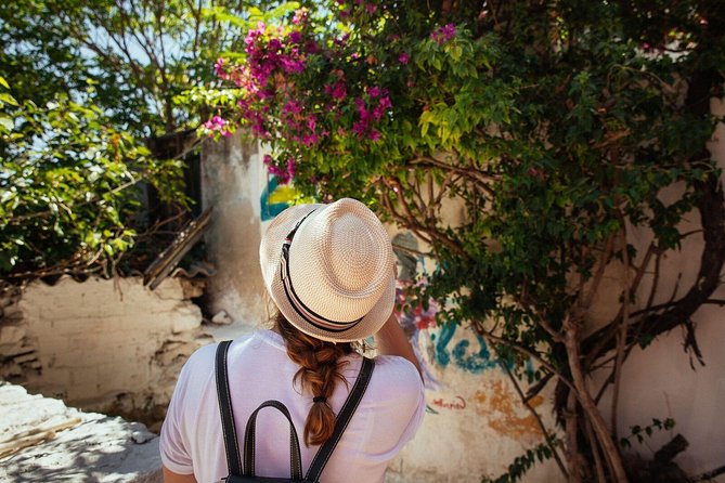 Highlights & Hidden Gems With Locals: Best of Athens Private Tour - Why a private Athens walking tour makes sense in 3 hours