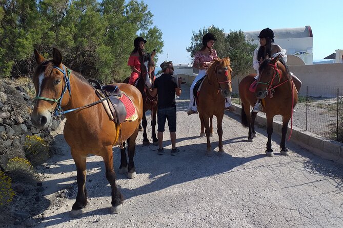 Horse Riding: Explore Secret Thera - Helmets, Horses, and Safety: Calm Pace, Real Animal Handling