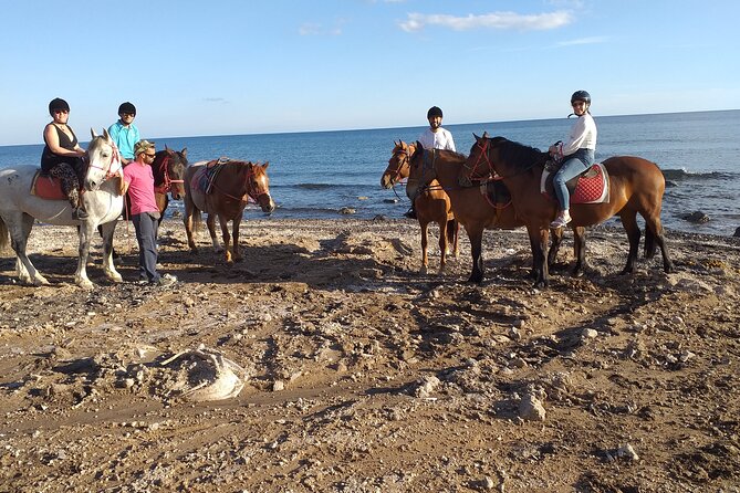 Horse Riding: Explore Secret Thera - Who Should Book Secret Thera, and Who Might Want Something Else