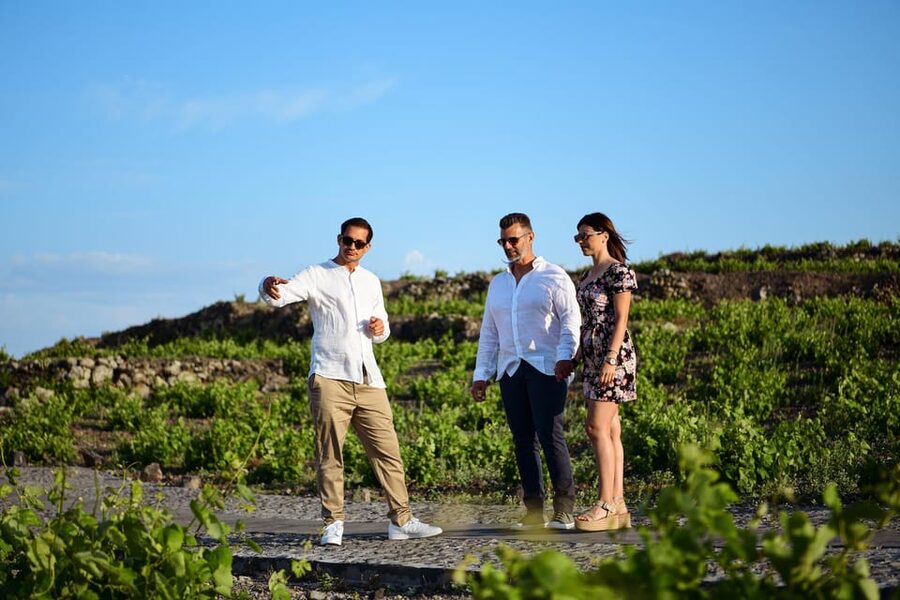 Imerovigli: Premium Wine Tasting with Caldera and Sea Views - The Private Cellar Visit, and Why Bottle Shopping Feels Different Here