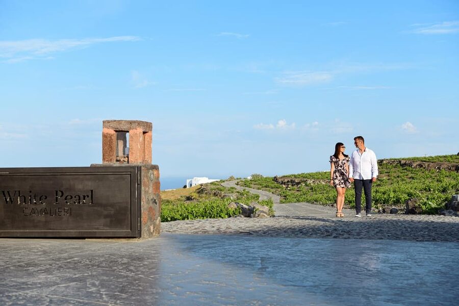 Imerovigli: Premium Wine Tasting with Caldera and Sea Views - Food and Dinner Options After the Tasting