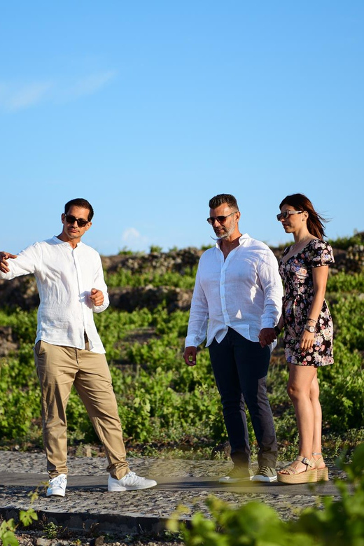 Imerovigli: Premium Wine Tasting with Caldera and Sea Views - Price and Value: What $104 Gets You in Santorini
