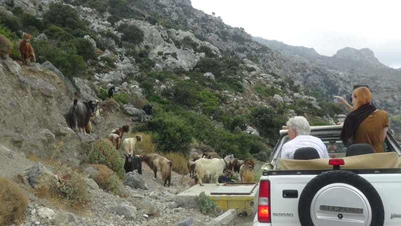 Jeep Driving Tour to Thripti Mountains and typical villages - Key highlights worth getting excited about