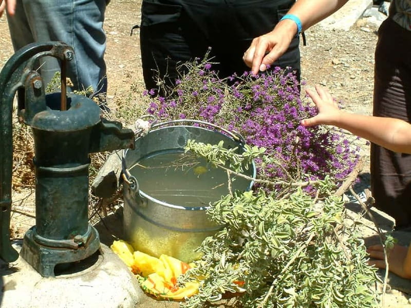 Jeep Driving Tour to Thripti Mountains and typical villages - Kavousi: the 3250-year-old olive tree and quick culture context