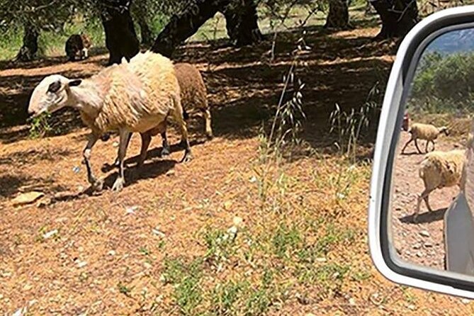 Jeep Safari 4x4 Crete real off road mountain tracks with Lunch from Hersonissos - Off-road gorge time and the Aposelemis Dam moment