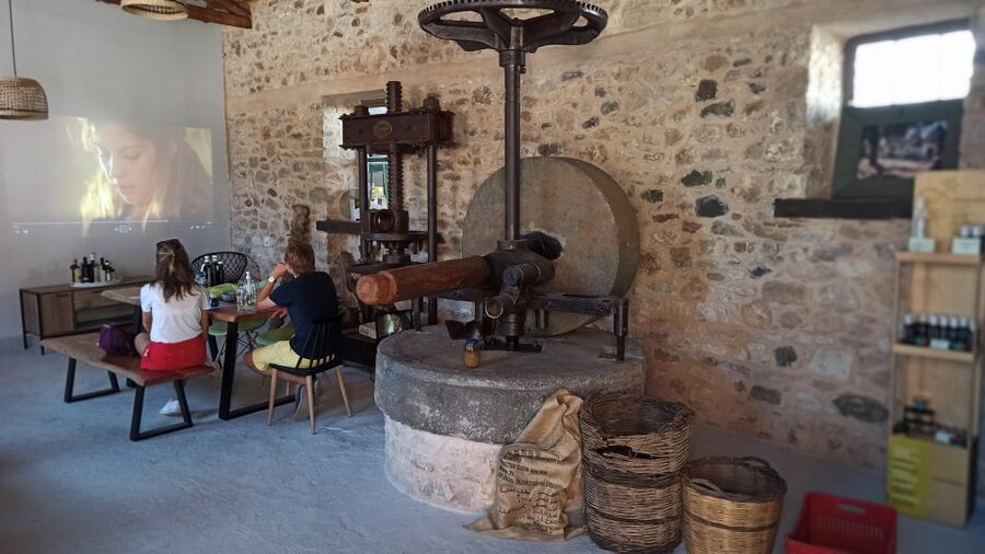 Kalamata: The Olive Oil Routes Tour - Price and value: is $106 fair for 3.5 hours?