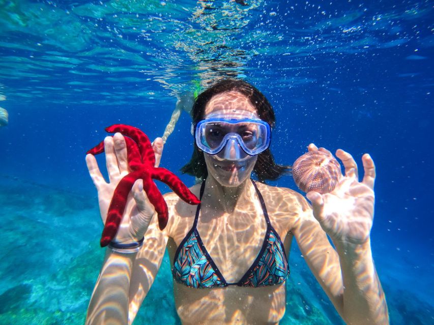 Kamiros Skala : Marine Life Experience & Alimia Island - Who Should Book This and Who Should Skip It